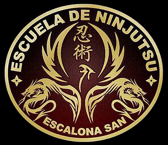 NINJUTSU